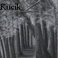 Doris Kucik - Into the Woods - Paintings