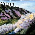 Ione Citrin -  - Oil Painting