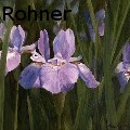 Laurie Rohner Studio - Wild Iris - Paintings